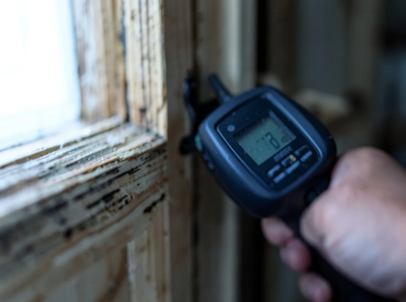 Moisture Inspection And Documentation in Viper, KY